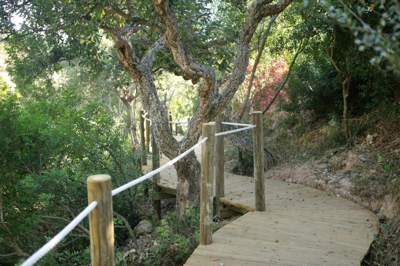 Monte Da Vilarinha Carrapateira Ngoại thất bức ảnh