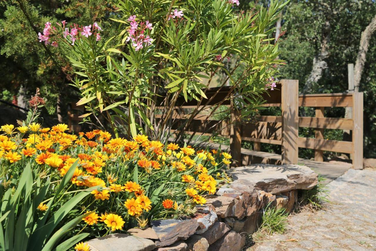 Monte Da Vilarinha Carrapateira Ngoại thất bức ảnh