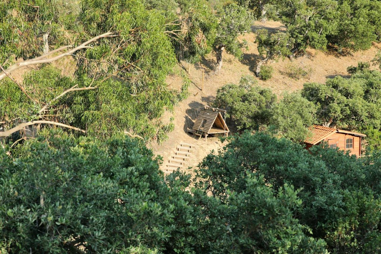 Monte Da Vilarinha Carrapateira Ngoại thất bức ảnh